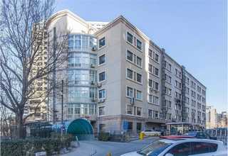 沼气锅炉燃烧器价格